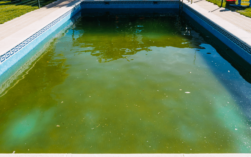 Remove A Pool dallaspoolremove.com