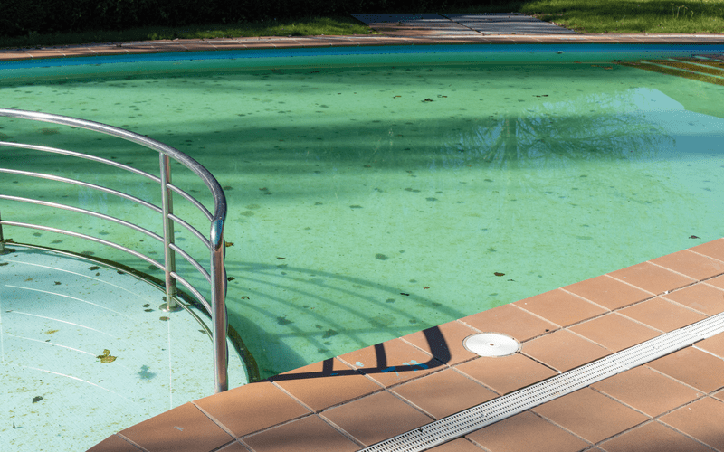 dirty-swimming-pool-with-leafs-dallas-tx